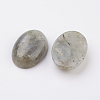 Natural Labradorite Flat Back Cabochons X-G-G741-13x18mm-18-2