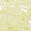 8/0 Glass Seed Beads SEED-Z001-C-E14-3