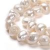 Natural Cultured Freshwater Pearl Beads Strands PEAR-L033-48-2