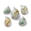 Conch Shell Pendants SSHEL-B002-06A-1