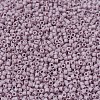 MIYUKI Delica Beads Small SEED-X0054-DBS0875-3