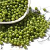 Baking Paint Glass Seed Beads SEED-A032-02A-07-1