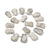 Natural Grey Moonstone Beads Strands G-H078-A07-01-2