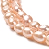 Natural Cultured Freshwater Pearl Beads Strands PEAR-E016-071-3