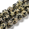 Natural Dalmatian Jasper Beads Strands G-C085-A07-01-1