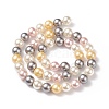 Shell Pearl Bead Strands BSHE-L017-17-6