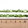 Natural White Shell Beads Strands SHEL-N036-21D-4