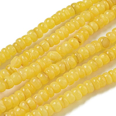 Dyed Natural Freshwater Shell Beads Strands BSHE-G039-07F-1