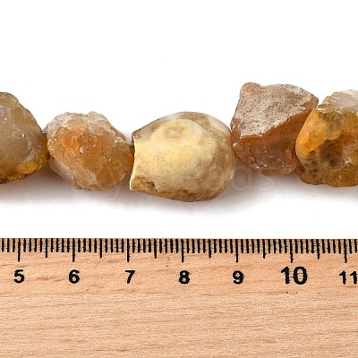 Natural Botswana Agate Beads Strands G-S386-C10-1