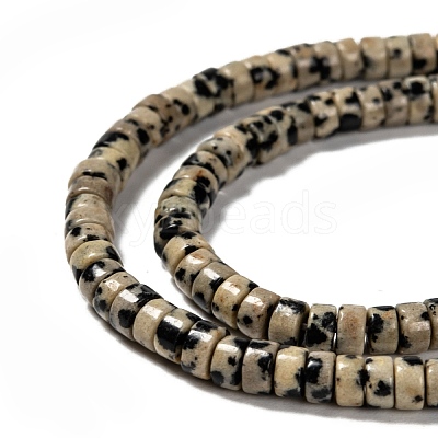 Natural Dalmatian Jasper Beads Strands G-L528-10-1