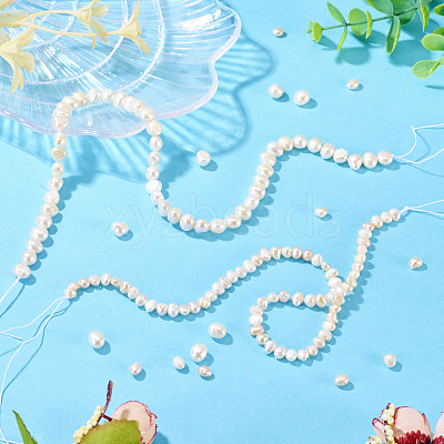 2 Strands 2 Srtyles Natural Cultured Freshwater Pearl Beads Strands PEAR-TA0001-20-1