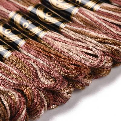 10 Skeins 6-Ply Polyester Embroidery Floss OCOR-K006-A10-1