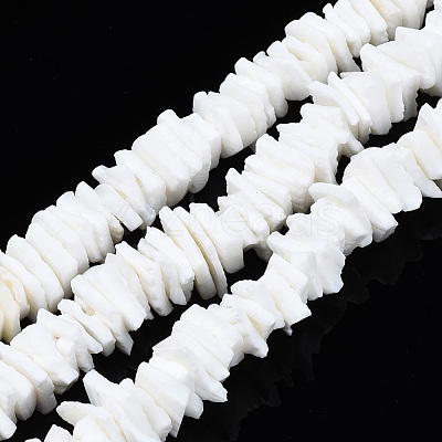 Natural White Shell Beads Strands X-SSHEL-S266-029-1