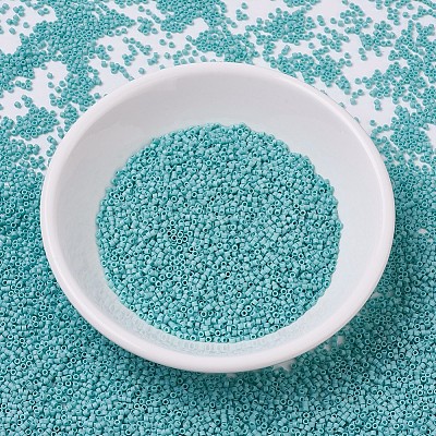 MIYUKI Delica Beads Small X-SEED-J020-DBS0878-1
