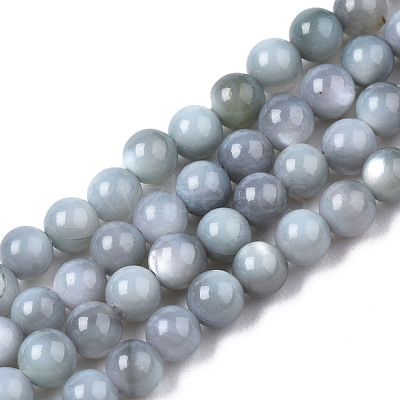 Natural Freshwater Shell Beads Strands BSHE-T009A-01K-1