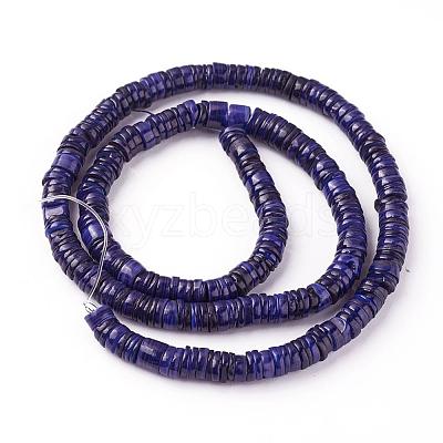 Shell Beads Strands SSHEL-E571-49F-1