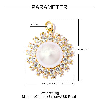 Brass Clear Cubic Zirconia Pendants KK-OY001-11G-1