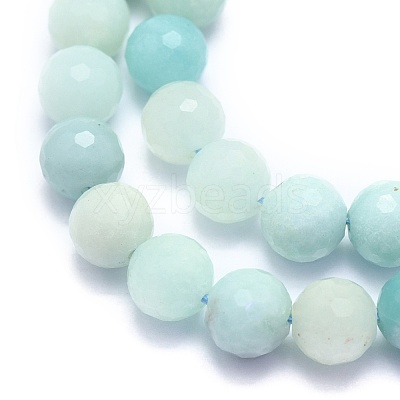 Natural Amazonite Beads Strands G-K310-A02-8mm-1