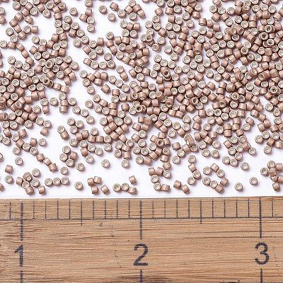 MIYUKI Delica Beads X-SEED-J020-DB1165-1