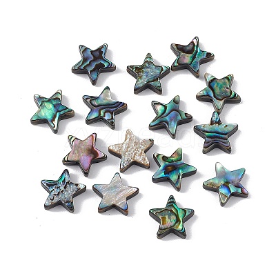 Natural Abalone Shell/Paua Shell Beads SSHEL-M021-07-1