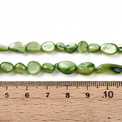 Natural White Shell Beads Strands SHEL-N036-21D-1