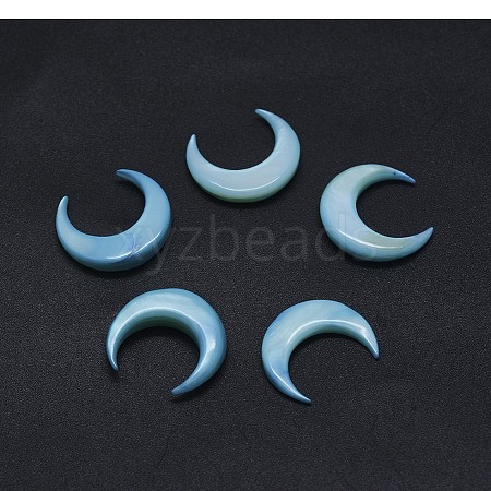 Shell Cabochons SSHEL-P015-79B-35mm-1