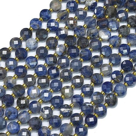 Natural Sodalite Beads Strands G-K389-B31-01-1