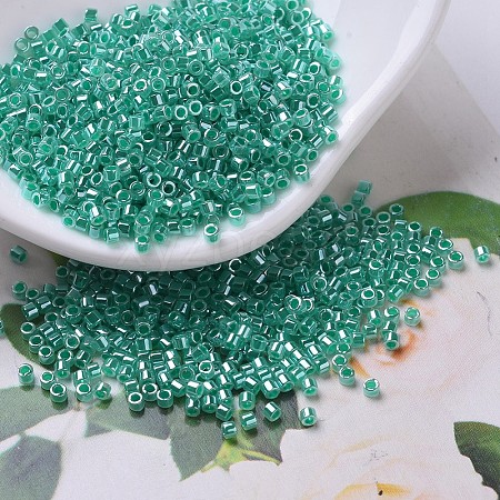 MIYUKI Delica Beads SEED-J020-DB0238-1