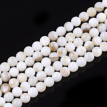 Freshwater Shell Beads Strands SHEL-T011-01-5mm-1