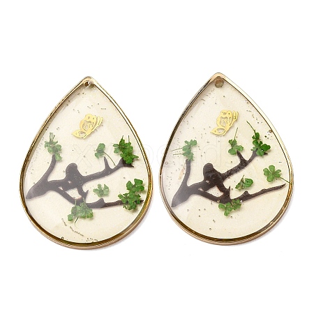 Brass & Transparent Epoxy Resin & Dried Flower Pendants RESI-G133-03G-03-1