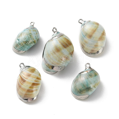 Conch Shell Pendants SSHEL-B002-06A-1