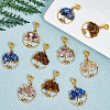 32Pcs 4 Styles Natural Mixed Stone European Dangle Charms G-DC0001-14-5