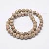 Natural Fossil Coral Beads Strands G-P325-01-8mm-2