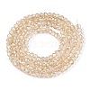 Electroplate Glass Beads Strands EGLA-T021-03J-2