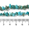 Natural Turquoise Chip Beads Strands X-G-D093-A01-5