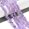 Natural Amethyst(Dyed & Heated) Beads Strands G-P497-01C-44-2