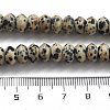 Natural Dalmatian Jasper Beads Strands G-P559-A01-01-5