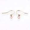 316 Surgical Stainless Steel Earring Hooks X-STAS-P220-13RG-2