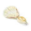 3Pcs 3 Styles Natural Scallop Shell Big Pendants PALLOY-JF03375-5