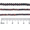 Natural Ganet Beads Strands G-H003-C08-01-4