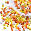 6500Pcs 300G 3 Colors Glass Seed Beads SEED-LS0001-04-1