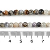 Natural White African Opal Beads Strands G-H062-A06-05-5