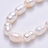 Natural Cultured Freshwater Pearl Beads Strands X-PEAR-S012-41B-4