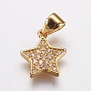 Brass Micro Pave Cubic Zirconia Charm ZIRC-E143-72G-1