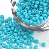 Baking Paint 8/0 Glass Seed Beads SEED-Q025-3mm-L09-1