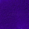 TOHO Round Seed Beads SEED-TR11-0008F-2