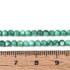 Natural Freshwater Shell Beads Strands X-BSHE-T009A-01J-4