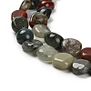 Natural African Bloodstone Beads Strands G-P497-01E-13-4