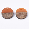 Resin & Walnut Wood Pendants X-RESI-S358-02C-3