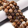 Natural Flower Agate Beads Strands G-B044-A01-03-7